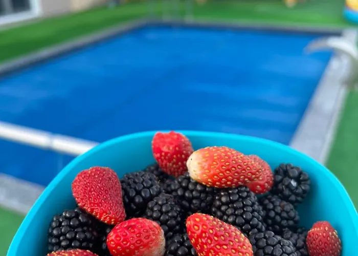 Appartamento Vila Beewild