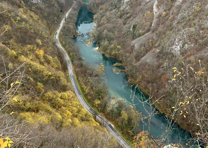 Appartamento Vila Beewild